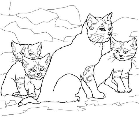 Sand Cat Kittens With Mother Coloring Page